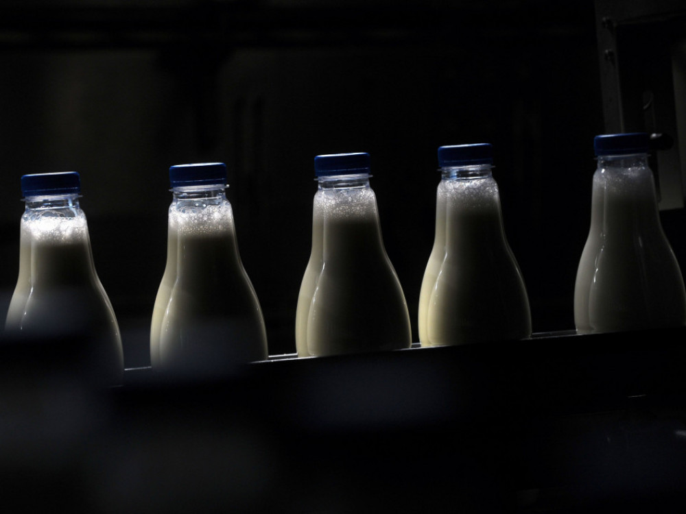 Србија ја продолжи забраната за извоз на млеко, но не и за Македонија