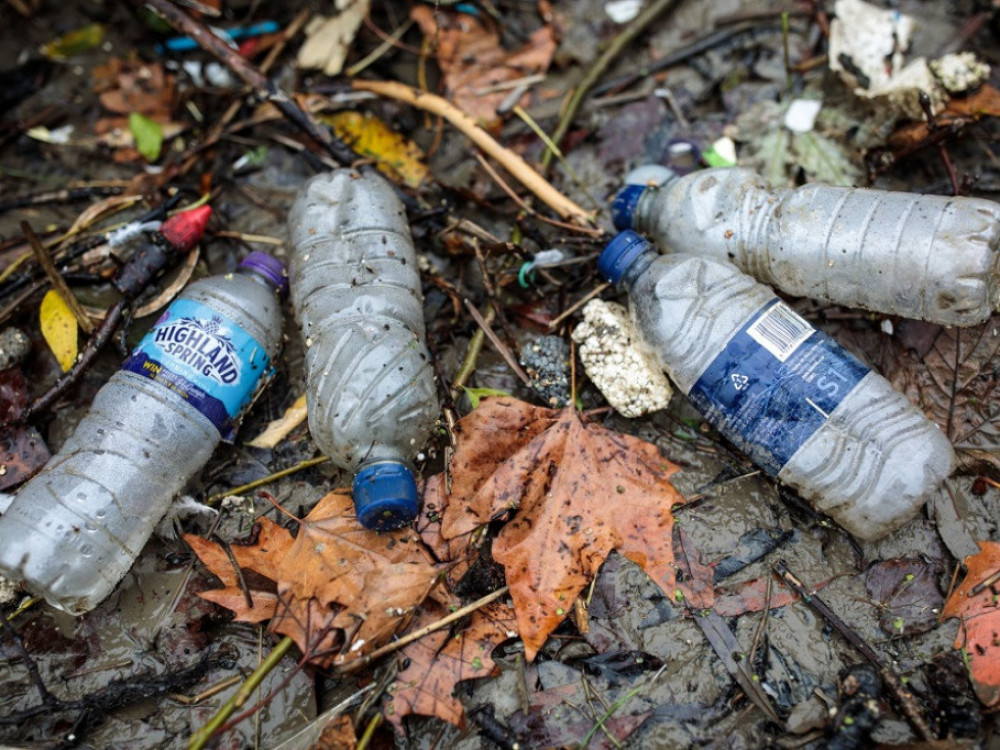 Бактерии кои се хранат со пластика - нов пробив во рециклирањето