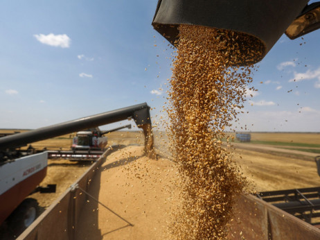 Раст на цените на пченицата по рускиот напад на Одеса
