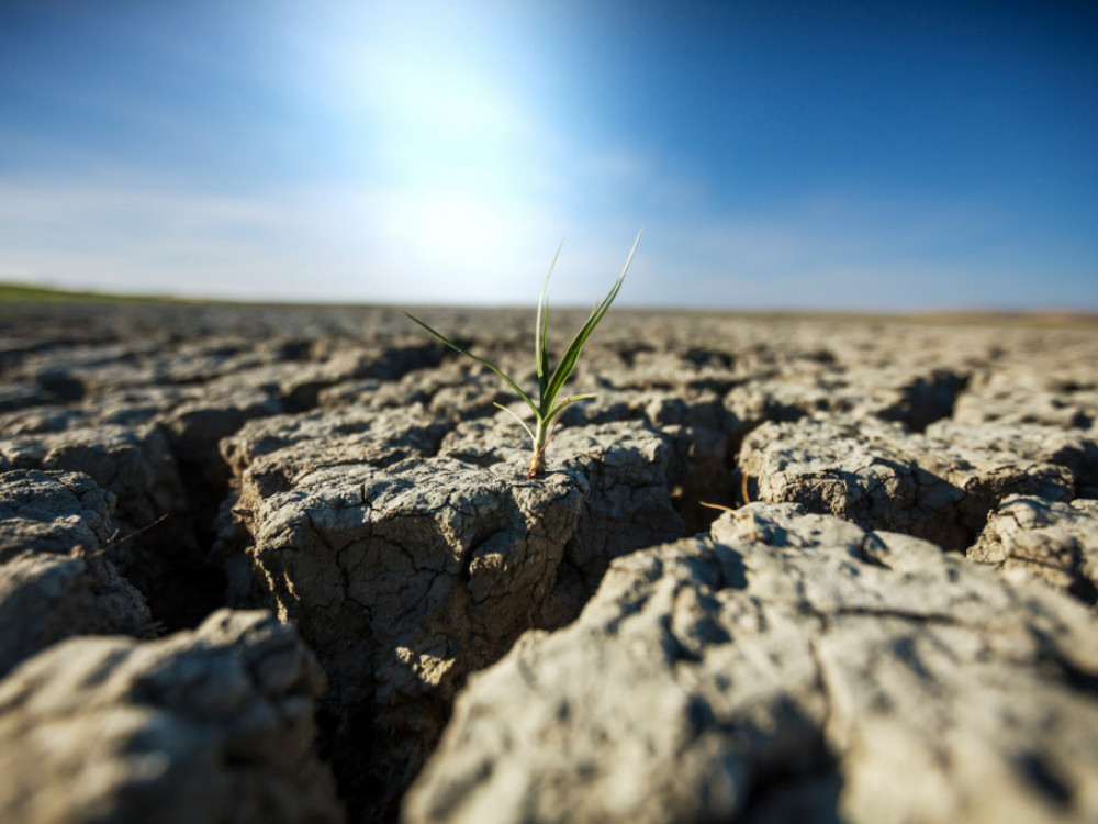 Пчеларството и пиперот светли точки во земјоделска Македонија