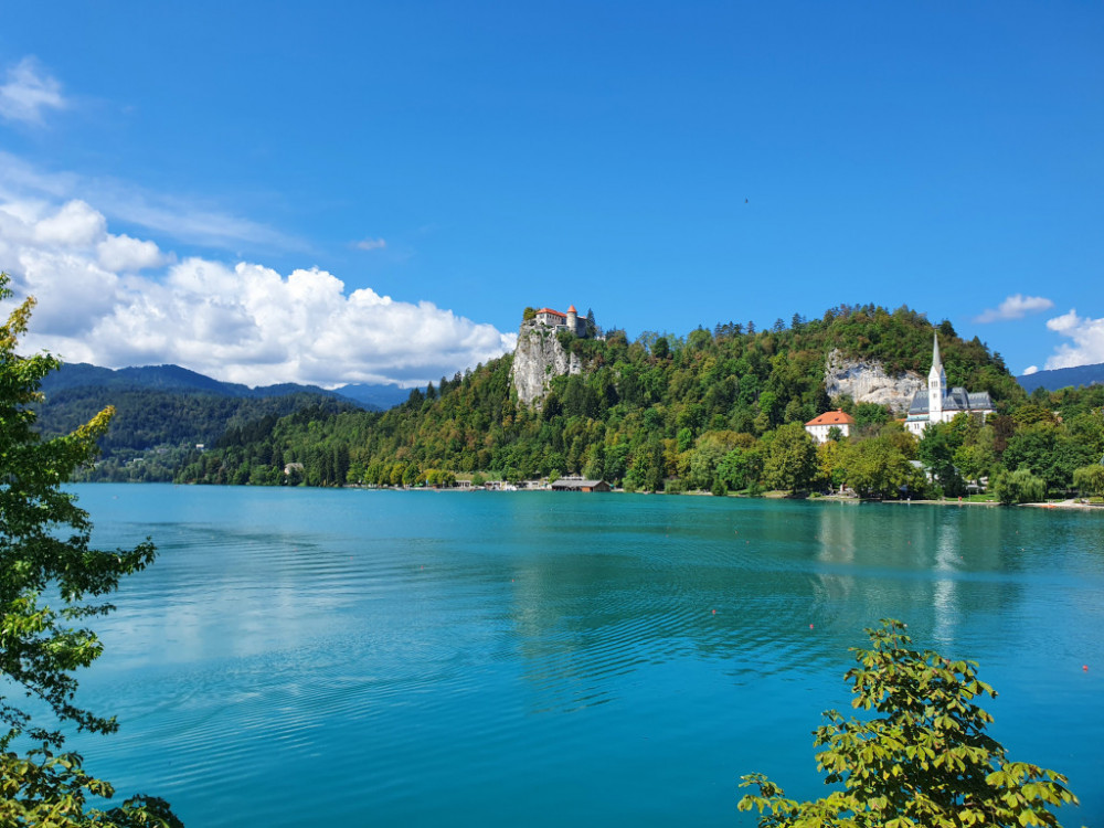 Прв пад на цените на становите во Ирска по 2020 година