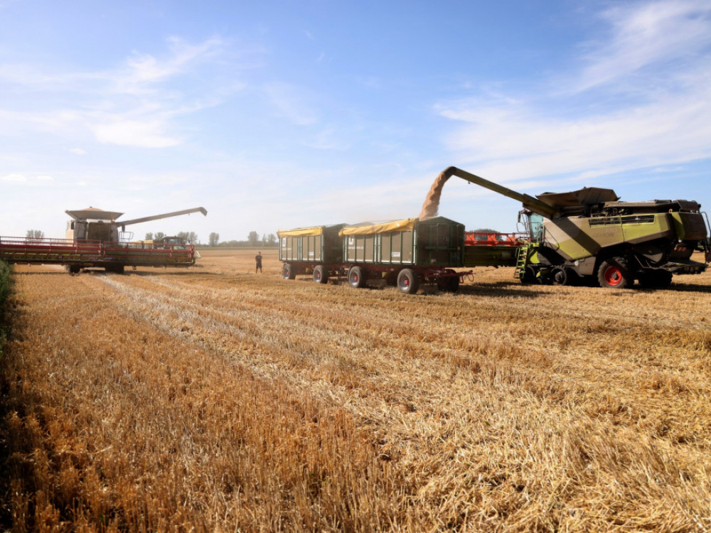 Глобалните цени на храната се намалуваат