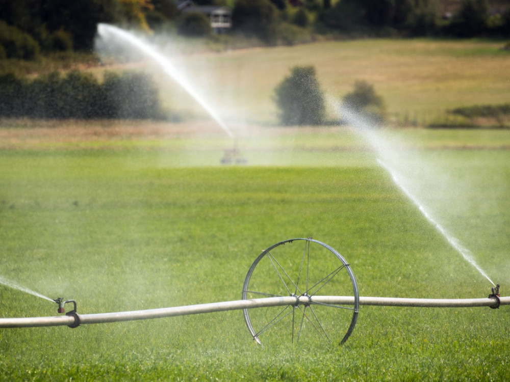 Нова промена во сопственичката структура на „Жито Полог“