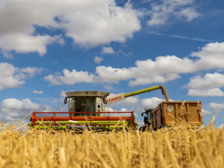 Пченицата поскапе за дури 7,7 отсто откако Русија се повлече од договорот