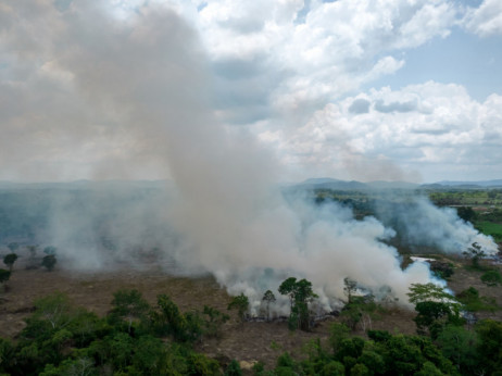 Нов план за спас на Амазонската прашума