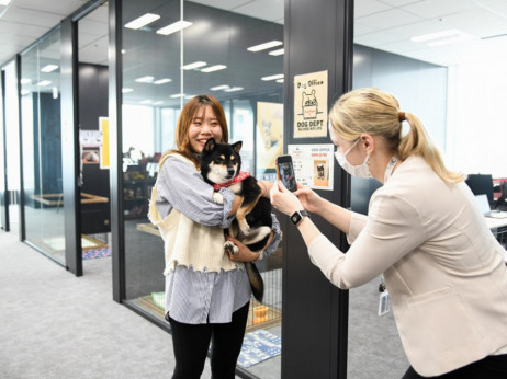 Јапонски компании дозволуваат кучиња во канцелариите за посреќни работници