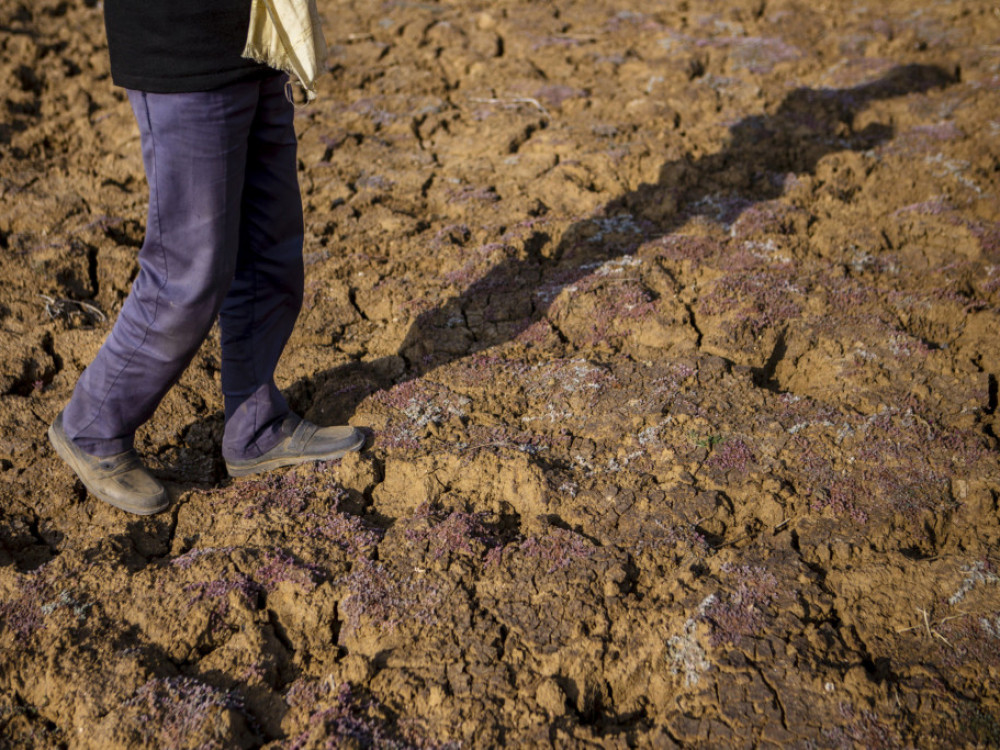 Македонија е под висок воден стрес: Кои култури се најзагрозени