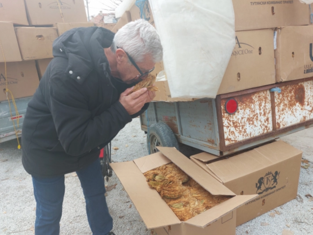 Родот на тутунот намален до 40 проценти