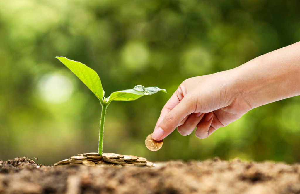 Светот се врти кон зелено кредитирање, Македонија сè уште се освестува