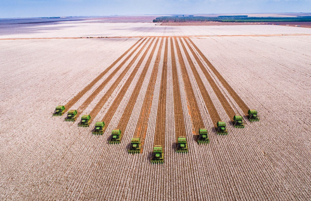 Германски имигранти во Бразил водат земјоделска империја од 900 милиони долари