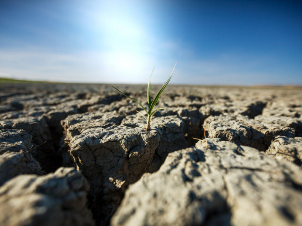 Пет вести за почеток на денот: Централните банки на потег, сушите се новото нормално