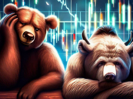 Локалните берзи ги заспаа бикот и мечката. Може ли регионална берза да ги разбуди?