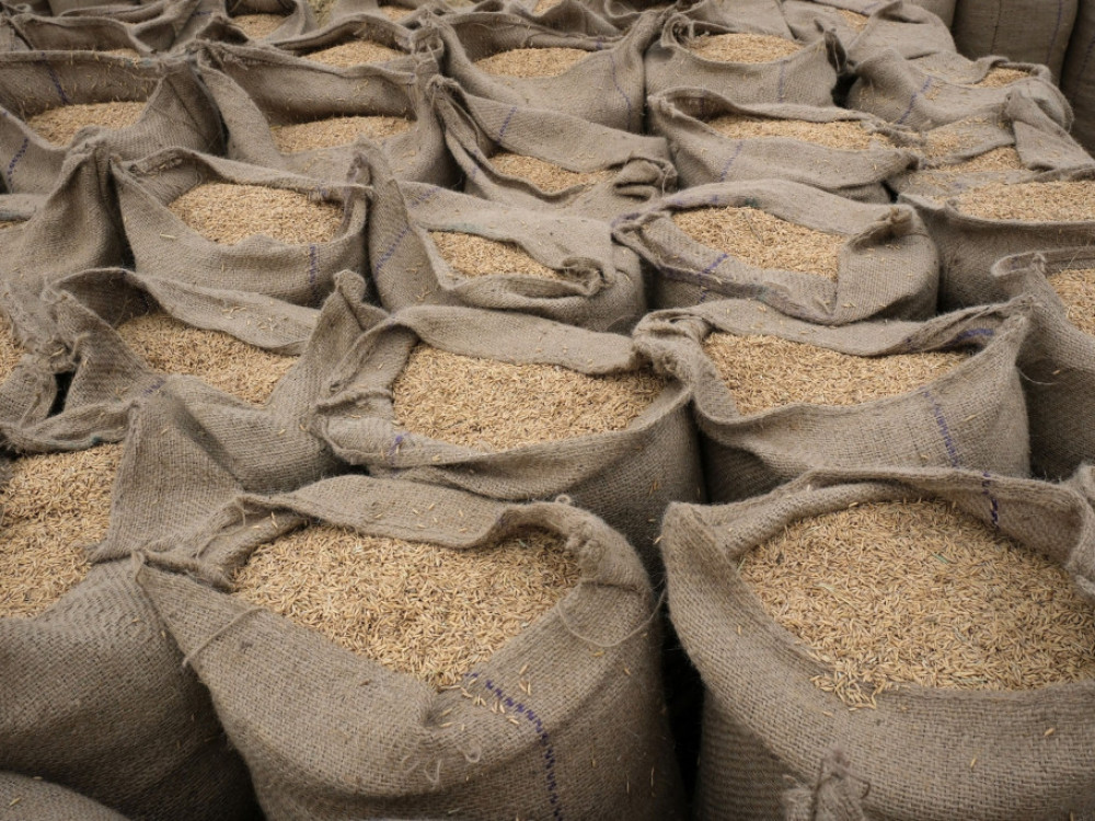 Цената на азискиот ориз за четири месеци порасна за 15 отсто