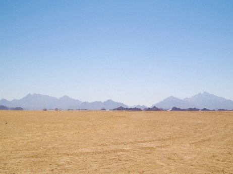 Саудиска Арабија и Холандија ќе одгледуваат храна во пустина