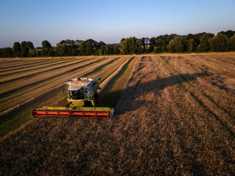 ЕУ размислува да го субвенционира транспортот на жито од Украина