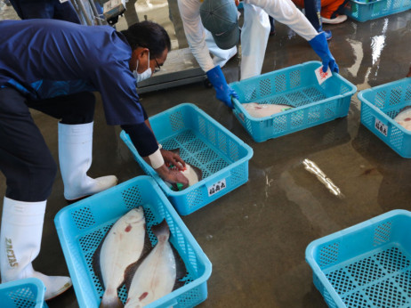 Кина го суспендира увозот на морска храна од Јапонија