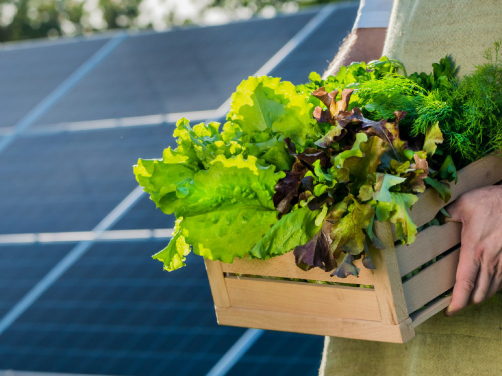 „Тепачка“ за пари од ИПАРД: Понудени 30, побарани 100 милиони евра