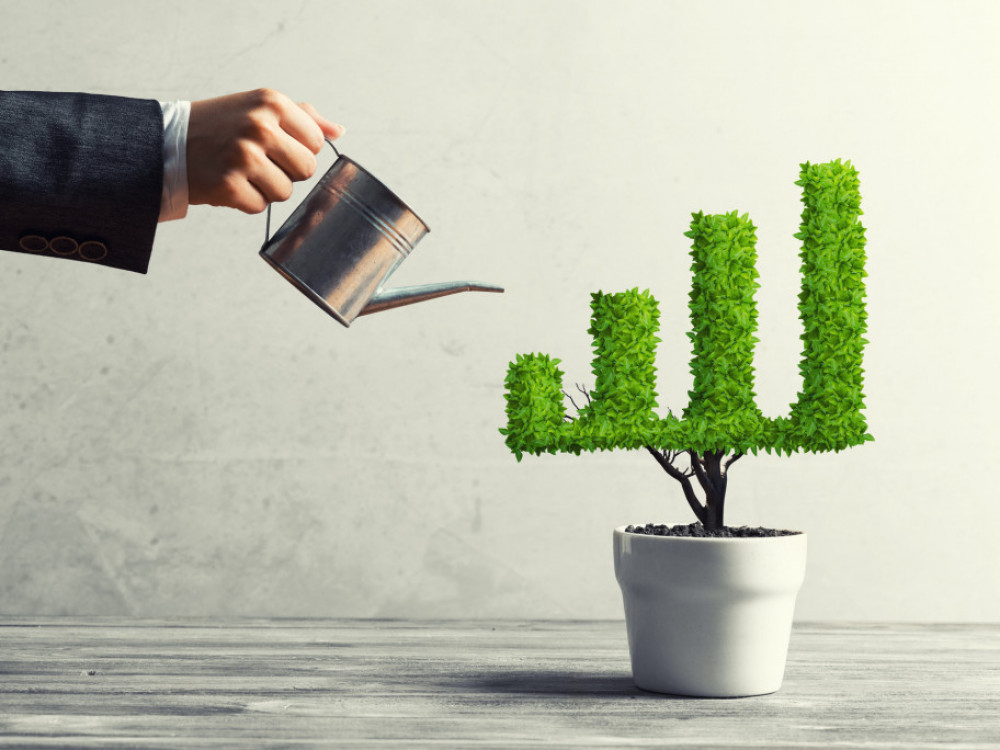 Мерките на Народната банка го поттикнуваат „зеленото“ кредитирање