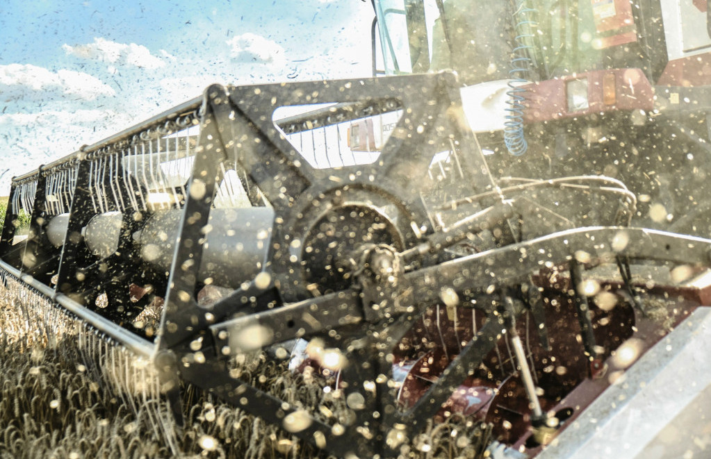 Храната е клучна за исходот од изборите во Полска и Нов Зеланд