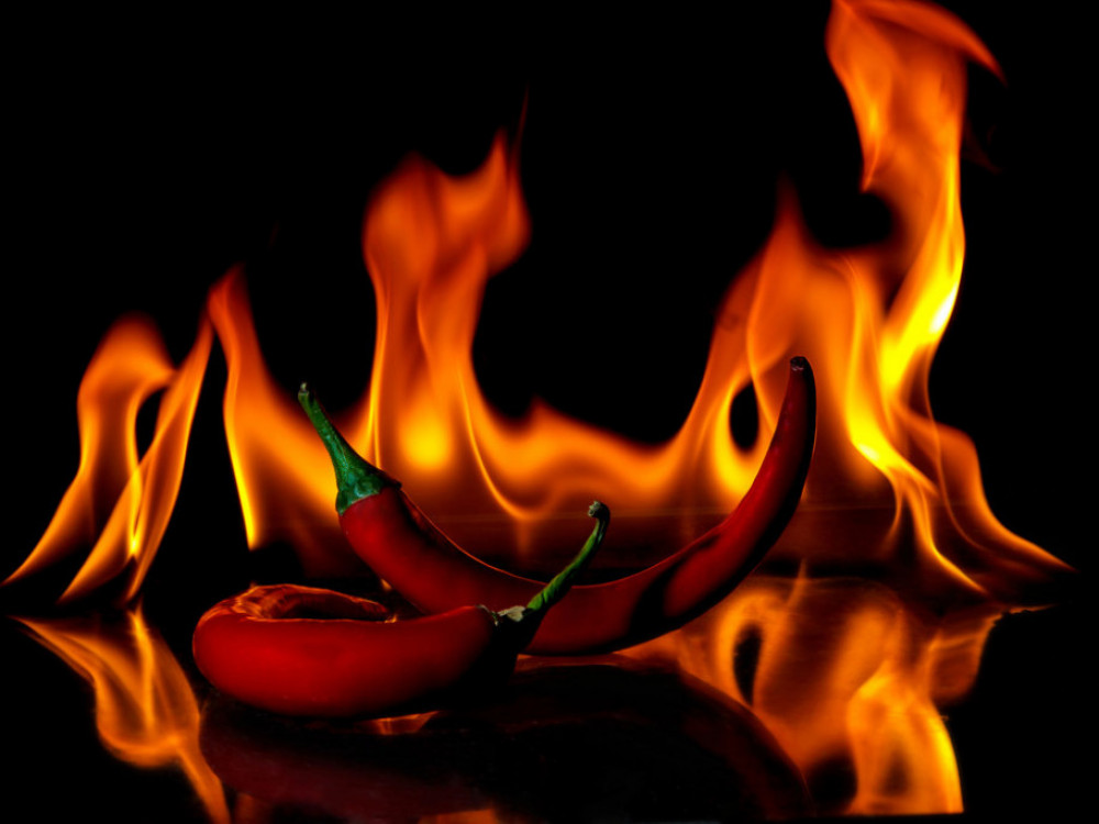 Што се случува кога ќе се спојат две мудри глави?