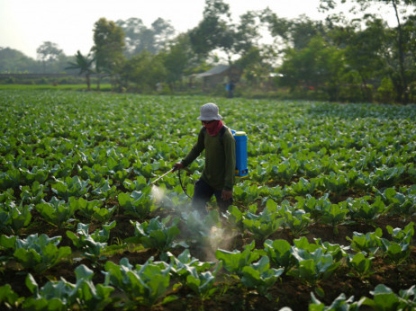 Кога профитот е над здравјето: Колку чини пазарот на пестициди?