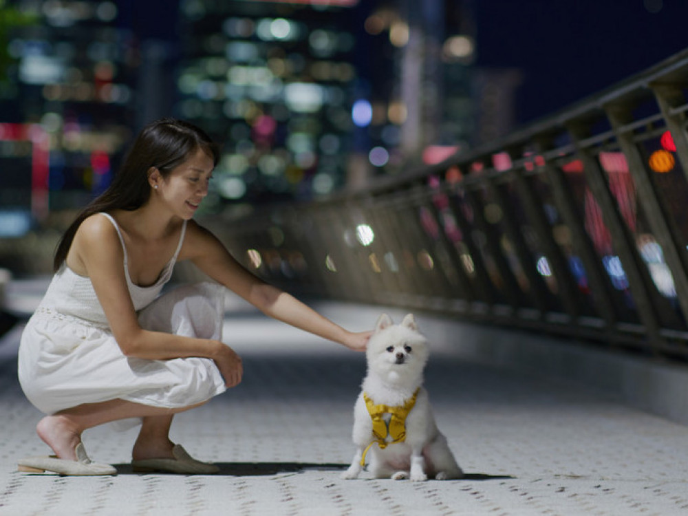 Јужна Кореја усвои акт со кој ќе се забрани месото од кучиња