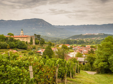 Ова се 50-те најдобри вина во светот, едно доаѓа од Словенија