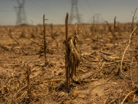 Светот тивко ја губи земјата од која треба да се храни