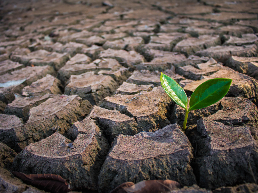 Неделен преглед: Немаме многу избори кога станува збор за климатските промени