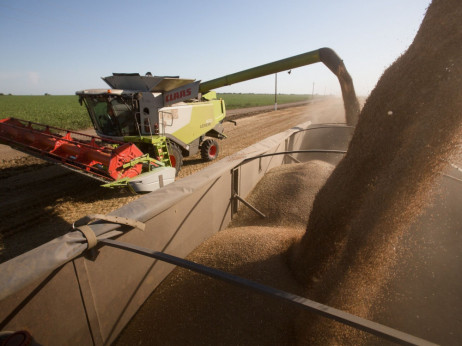 ЕУ се согласи да ги зголеми тарифите за увоз на руско жито од јули