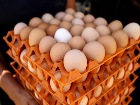 Ограничена продажбата на јајца поради страв од недостиг