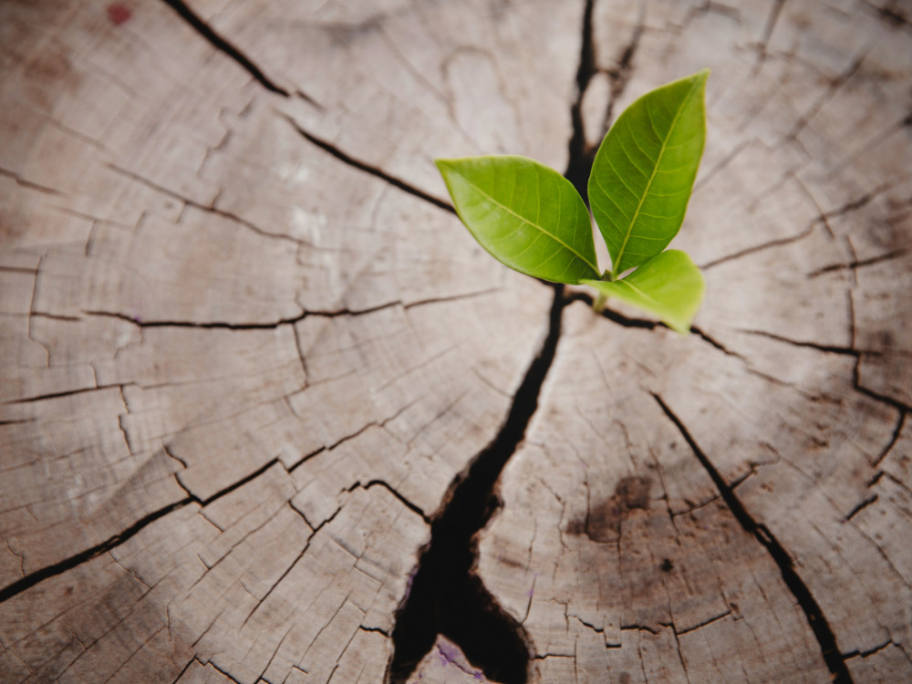 СБ: На Западен Балкан му се потребни 37 милијарди долари поради климатските промени