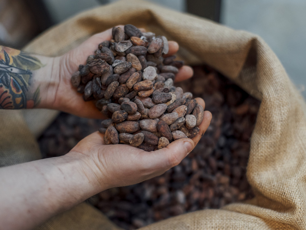 Поради недостигот од кафе цената расте најдолго во последните 45 години