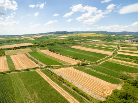 Како земјоделското земјиште во Македонија стаса до фантастични суми