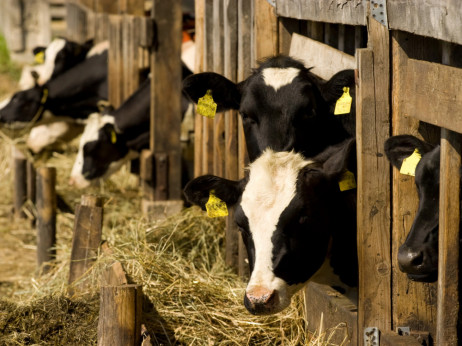 Трамп најавува намалување на тарифите и нови трговски договори за поевтина храна