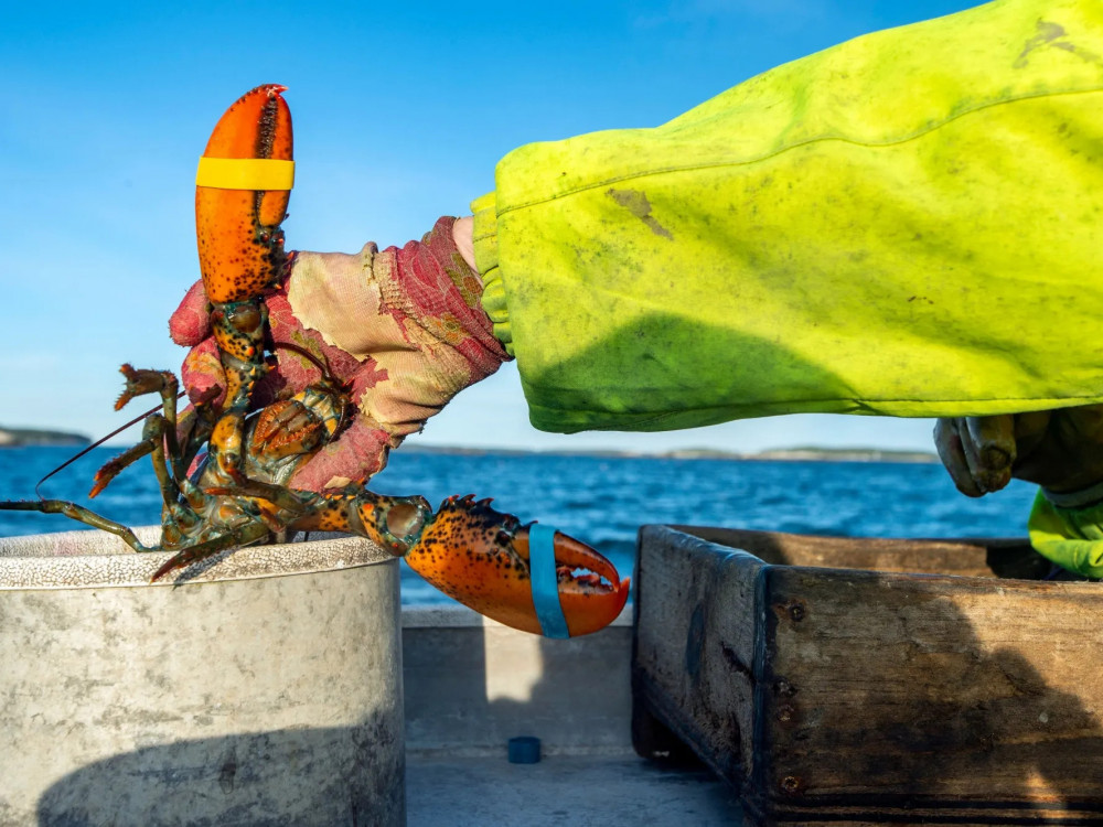 ЕУ предлага укинување на царините за американски производи по барање на Трамп