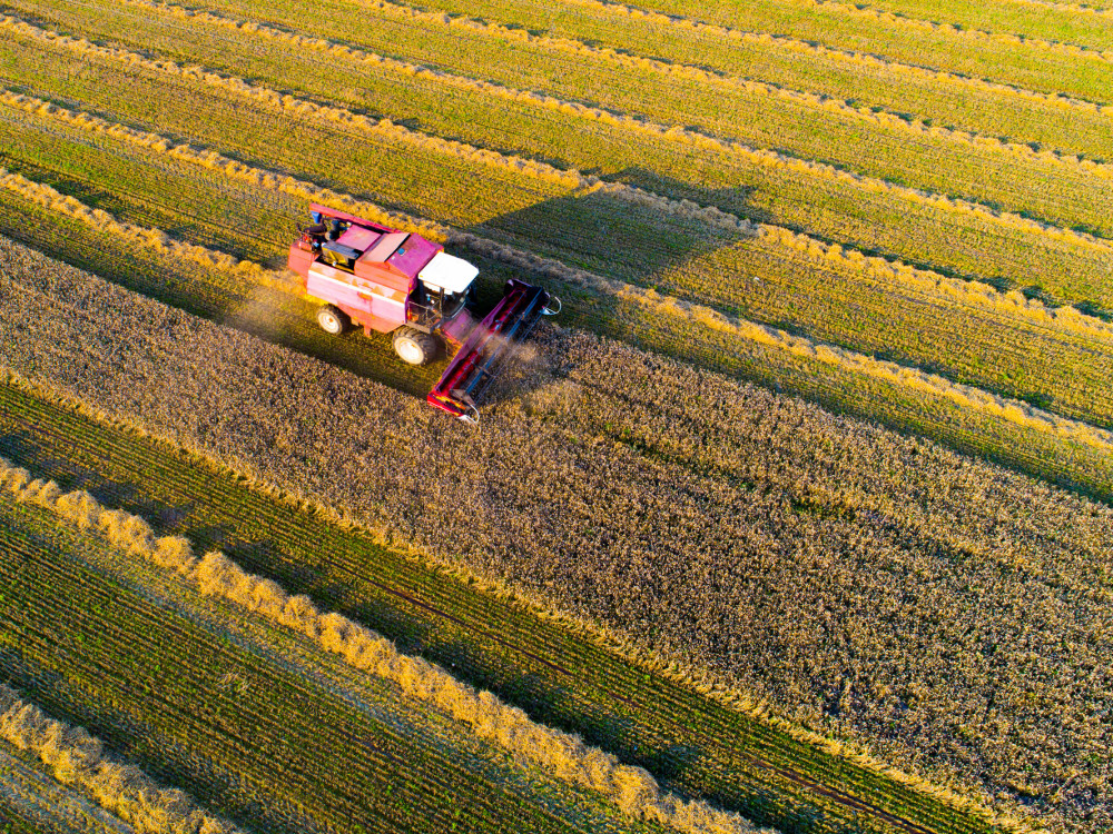 Како да го диверзифицирате портфолиото преку инвестиции во земјоделството?