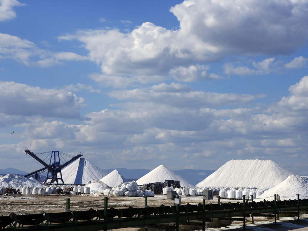 Кои се најголемите играчи во индустријата за сол во регионот?