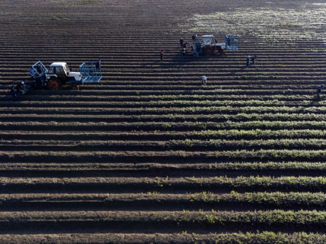 Прв тест на CBAM: ЕУ размислува за исклучоци, Македонија неподготвена