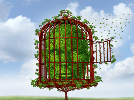 Како вештачката интелигенција успеа да нè убеди да не размислуваме со своја глава?