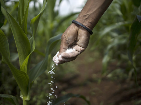 Се кројат новите цени на храната - ѓубривата поскапеа до 40 отсто