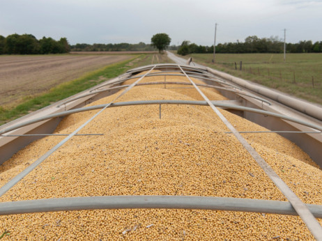 Растат цените на земјоделските култури - војната е ризик за снабдувањето