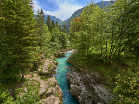 Дигитален детокс во Словенија: најубавите оази каде што нема да сакате сигнал