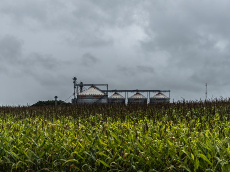 Војната ги зголемува ризиците за земјоделците: ценовен шок кај вештачките ѓубрива
