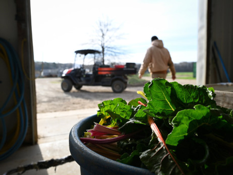 Rast cena đubriva zbog rata - koliko je Srbija zaista ugrožena?