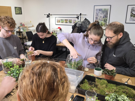 Дигитален умор, аналоген одговор